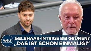 EKLAT BEI GRÜNEN: Wahl-Intrige um Gelbhaar? Kubicki äußert sich zu Vorwürfen und kritisiert Habeck