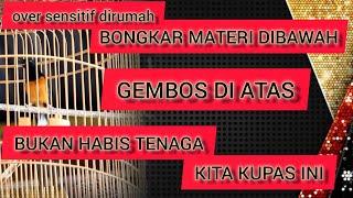 bongkar materi dibawah gembos diatas terlalu sensitif dirumah!! bukan karna kehabisan tenaga