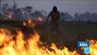 Crop burning crisis: India chokes as farmers set fields on fire