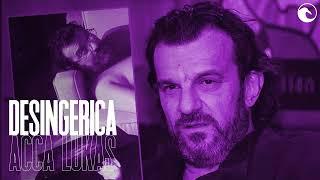  Desingerica x Pljugica SELJACKI DRILL type beat 2024 | ACCA LUKAS |