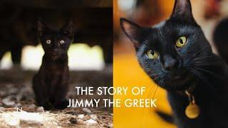 The story of JIMMY THE GREEK!!