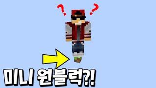 미니블럭 단 한개만 있는 마크 스카이블럭 깨기 도전?!