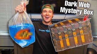 BUYING LIVE FISH OFF THE DARK WEB... (what's inside?)