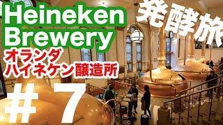 Heineken Brewery/fermentation trip#7