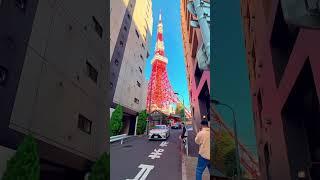 japanese new video #travel #anime #japanlover #vlog #japanvibes #cherryblossom #japang