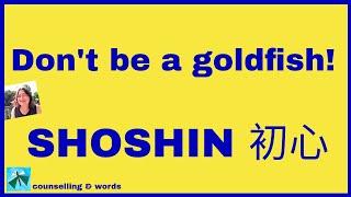 Shoshin - Keep Your Mind Open!