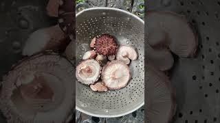 How we grow shiitake mushrooms in our backyard garden!  #growyourownfood #urbanhomesteading