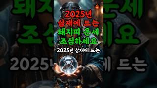 2025년 삼재띠 돼지띠 운세  띠별운세, 재물운