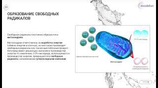 Крем для лица Н2 с молекулярным водородом. ANTI AGE ЭФФЕКТ. Увлажнение. Описание, состав.