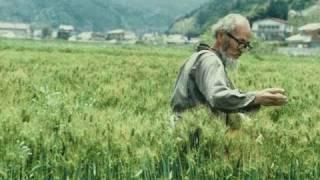 Masanobu Fukuoka rice and orchard techniques