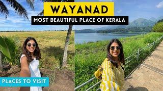 WAYANAD | Places to Visit in Kerala | Wayanad Travel Guide | Best Place in Kerala | Kerala Road Trip