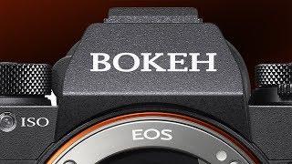 Camera Terms You're Saying Wrong! / Bokeh, EOS, & ISO Pronunciation