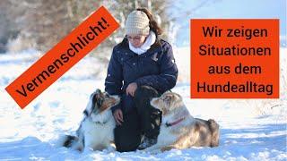 Vermenschlicht! Typische Situationen aus dem Hundealltag mal anders dargestellt