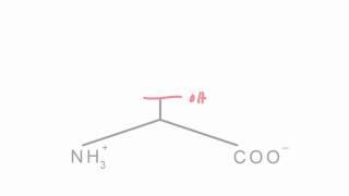 Memorize the 20 amino acids in 20 minutes (Part 1)