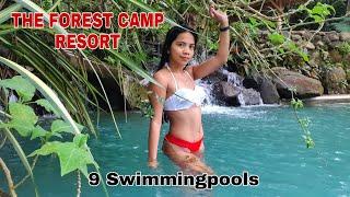 A tour inside THE FOREST CAMP RESORT | 9 SWIMMING POOLS