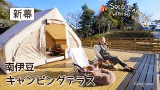 【50代女子ソロキャンプ】絶景オーシャンビューと新幕エアーテント ｜南伊豆キャンピングテラス｜ Solo camping with my dog, Vlog［36］