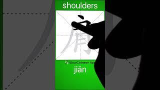 How to Write 肩(shoulders) in Chinese? App Name :《ViewChinese》&《My HSK》