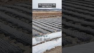 매 달 300만원씩 연금 주는 땅을 만들기 위한 조건을 알려드립니다! #부동산 #부동산투자 #부동산경매 #농지연금