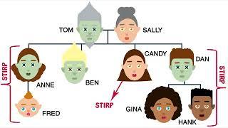 Intestate Succession in South African law