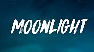 dhruv - moonlight (Lyrics)