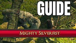 How to Beat Mighty Silverfist in Path of Exile 2!