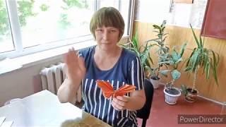 #СвердловскаяСШ6#мастер класс#бабочки HD 720p