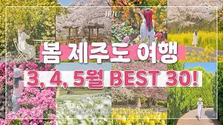  3월, 4월, 5월 봄 제주도 여행 가볼 만한 곳 Best 30! | 이 영상 하나면 봄 제주 여행 준비는 끝!