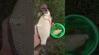 #Диктуй Клёв #Рыбака #ВсеРыбакиЗнаютЭтотКайф #fishing #fish #фонк
