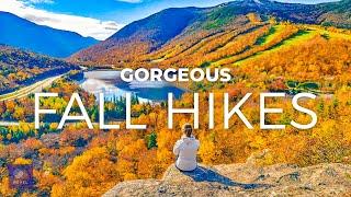 Gorgeous Fall Hikes | SURROUND YOURSELF WITH VIBRANCE on these Fall Foliage Hikes in North America