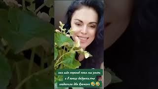 Пока мы росли,учились и рожали детей -шел переход,который все просто ждут как разовое мероприятие 