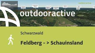 Wanderung im Schwarzwald: Feldberg - ▶ Schauinsland