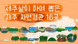 자연이 아름다운 제주 여행지 16곳