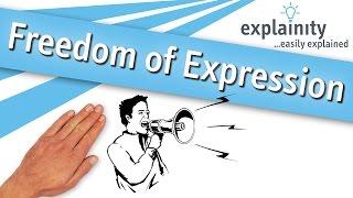 Freedom of Expression explained (explainity® explainer video)