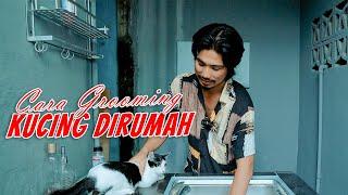 CARA GROOMING KUCING DIRUMAH|UCUP