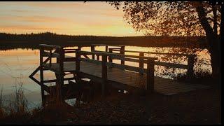 Breath in the silence of autumn nature | Visit Jyväskylä Region