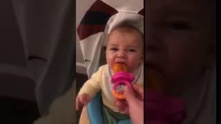 6 month old baby reacting to fruit - trying the munchkin