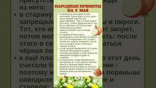 5 МАЯ - НАРОДНЫЕ ПРИМЕТЫ #shorts #эзотерика #приметы