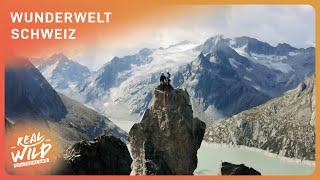 Doku: So anders ist unser Nachbarland - Abenteuer Schweiz | Real Wild Deutschland
