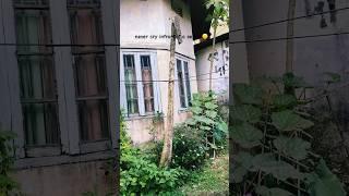never cry to a selfish #hushn #song #music  #viralvideo #ancient #travel