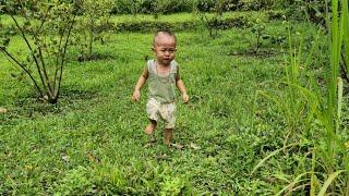 Single mother picking lemons to sell mother-in-law making banana cakes