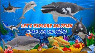 Bé Khám Phá Đại Dương - Let's Explore Saltfish - Bé Biết Nói Sớm