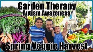 Garden Therapy // Autism Awareness // Spring Vegetable Harvest // Gardening with Kids