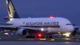 Frankfurt Airport (FRA) - LIVE Planespotting 2024-06-05