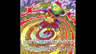 Shamanic Tribes On Acid - Guitar Slinger Kinetix records 1998
