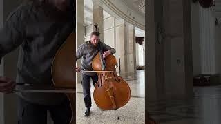 Обнимает контрабас, как женщину - играет Михаэль Сандронов #contrabass #orchestra #chambermusic