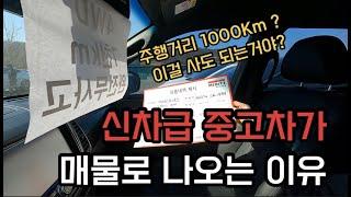 신차급 중고차가 매물로 나오는 이유