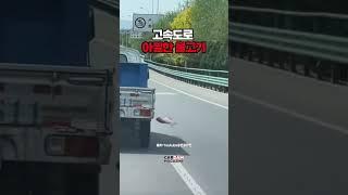 고속도로에 살아있는 물고기 #funny #shorts