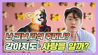 강아지는 정말 사랑을 느낄까? | 설채현 행동학 수의사