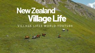 New Zealand  Village Life  |  Rural New Zealand