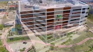 Tree Top Hospital